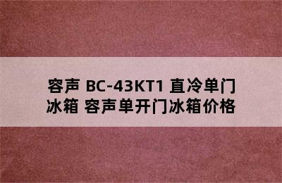 单门冰箱推荐-Ronshen/容声 BC-43KT1 直冷单门冰箱 容声单开门冰箱价格